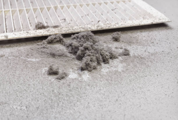 Best Affordable HVAC Duct Cleaning  in Bloomingdale, GA