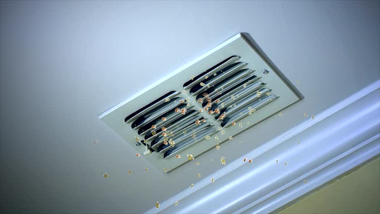Best Emergency Air Duct Cleaning  in Bloomingdale, GA